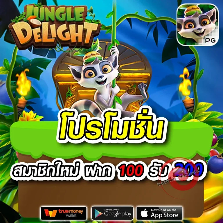 richplusbet ทางเข้า